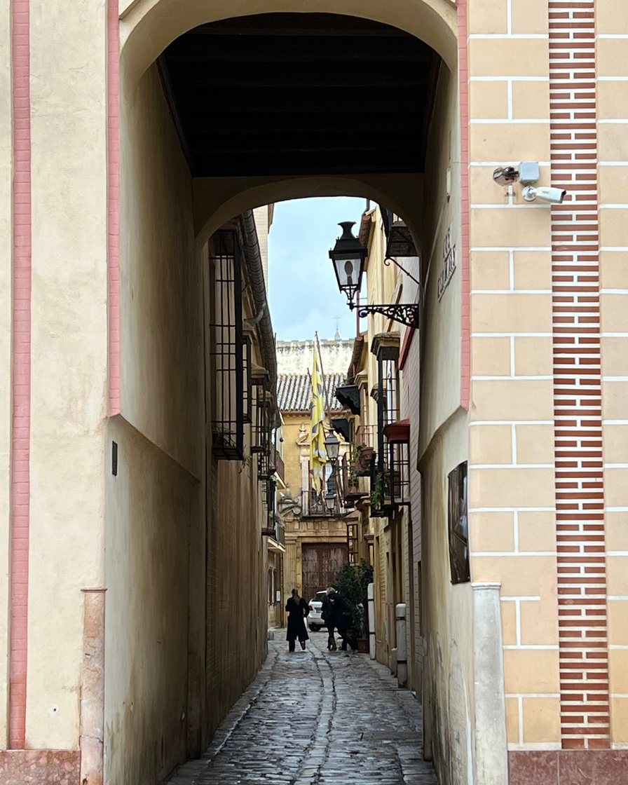 Entrada a una calle del casco antiguo de Sevilla cerrada por un bolardo retráctil, con naranjos junto al muro
