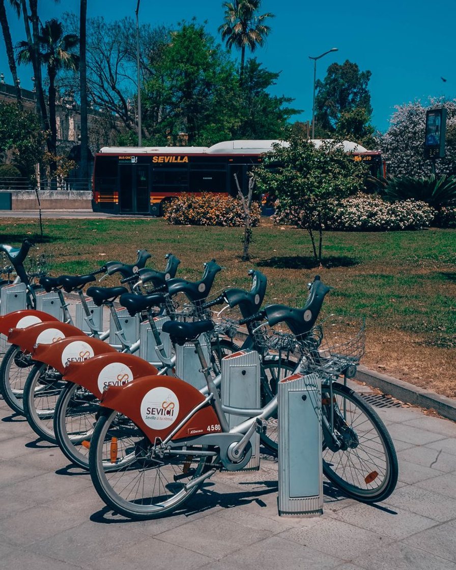 Autobús urbano de Sevilla parado en una marquesina, con palmeras al fondo