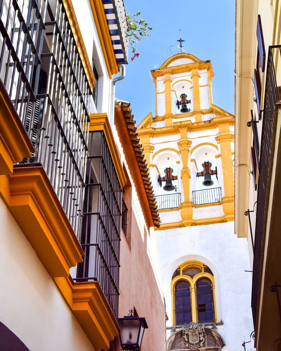 Fachada encalada de la iglesia de Santa Cruz en Sevilla, con su espadaña y un naranjo en la plaza, a media mañana y sin gente