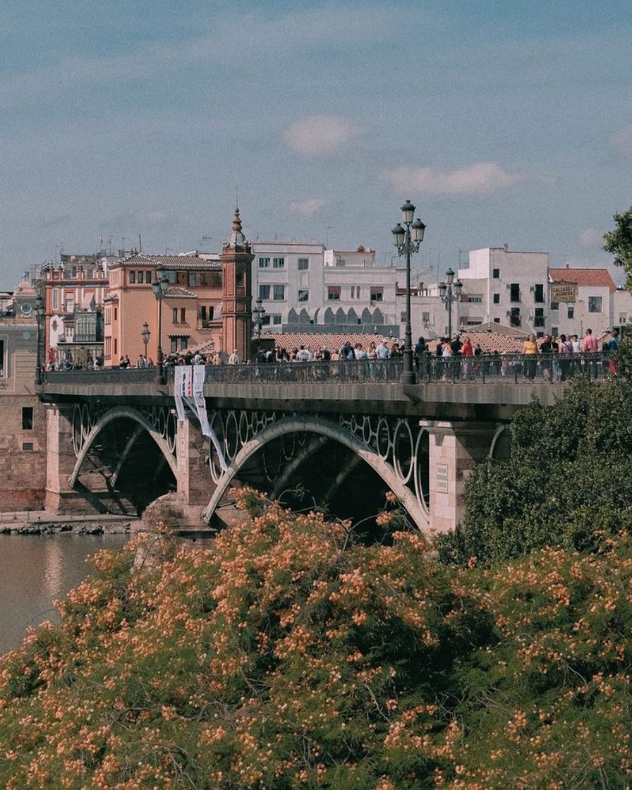 Fachadas de colores de la calle Betis en Triana reflejadas en el Guadalquivir al atardecer, vistas desde la orilla opuesta junto a la Torre del Oro