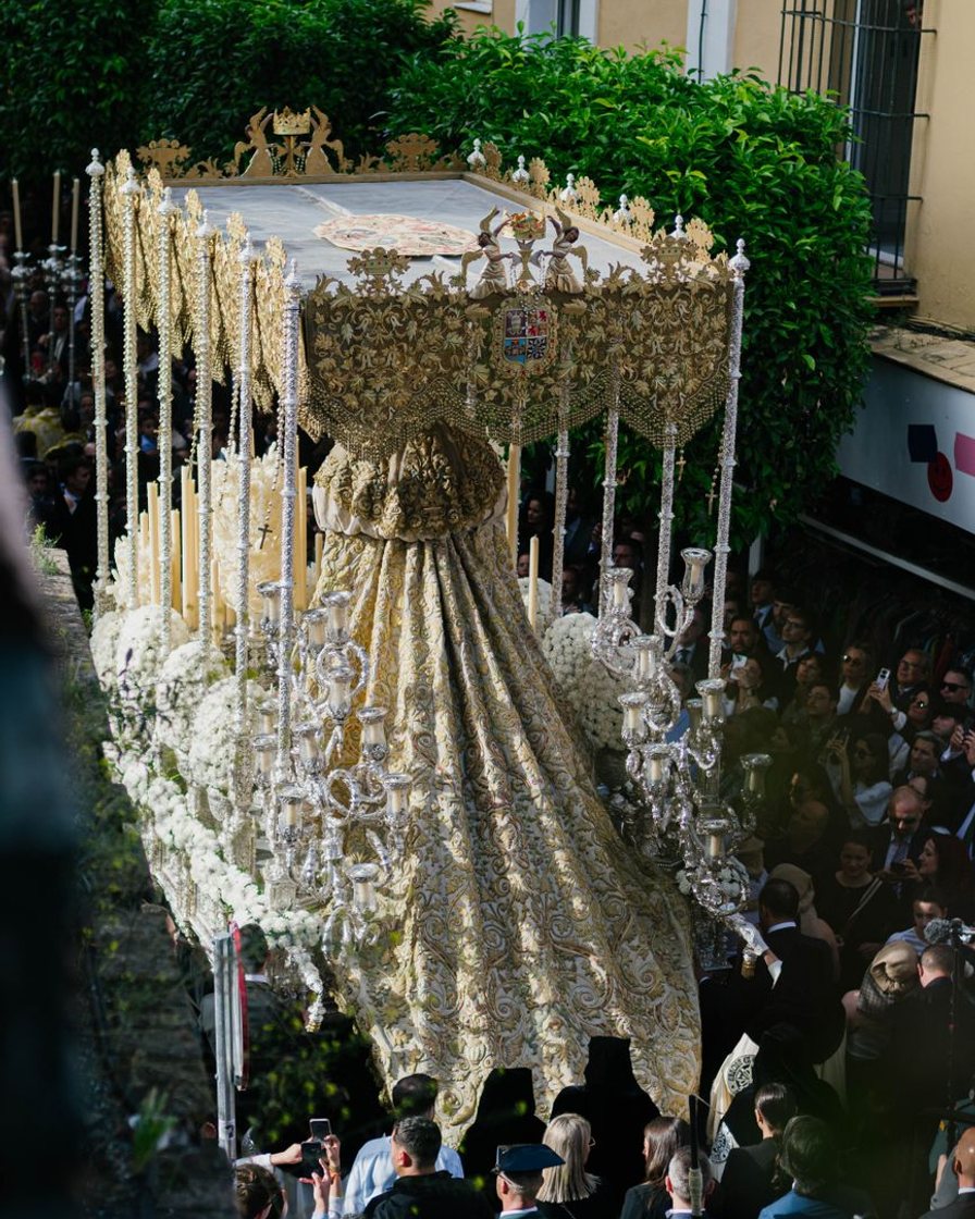 Multitud compacta de espectadores esperando de pie en la plaza de la Campana de Sevilla al anochecer, vista desde un balcón